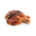 Coscette di pollo alla brace